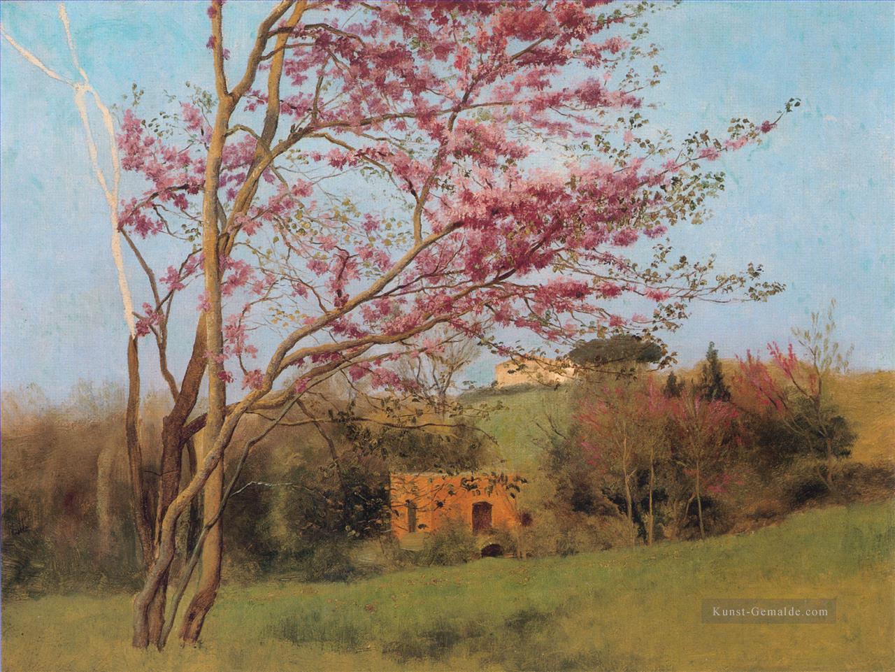 Landschaft Blühende Rote Mandel Neoclassicist Dame John William Godward impressionistische Blumen Ölgemälde